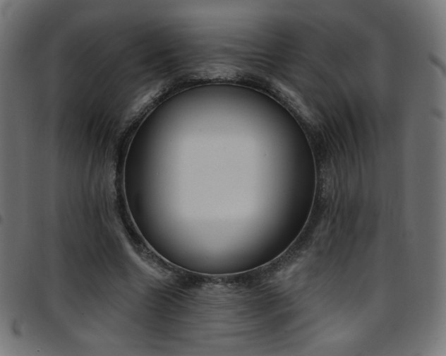 X0000097750538200803071251