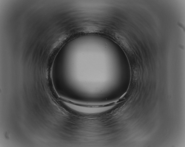 X0000097750539200803071251