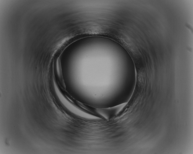 X0000097750540200803071251