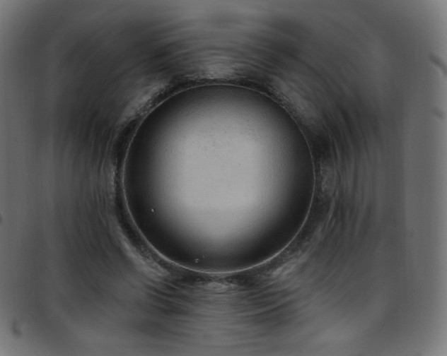 X0000097750542200803071251