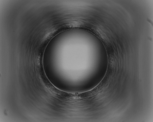 X0000097750543200803071251