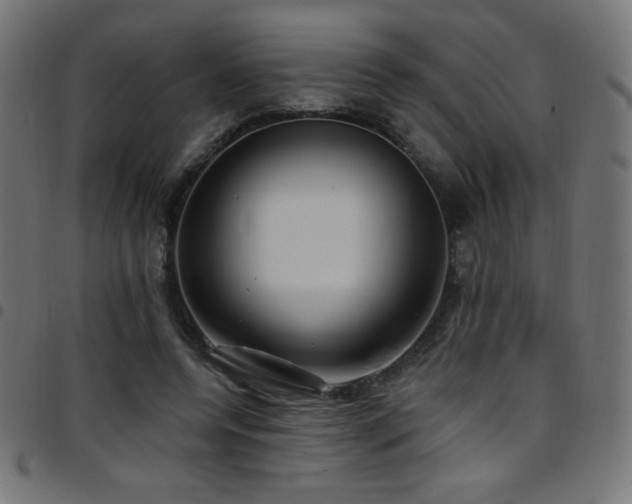 X0000097750544200803071251