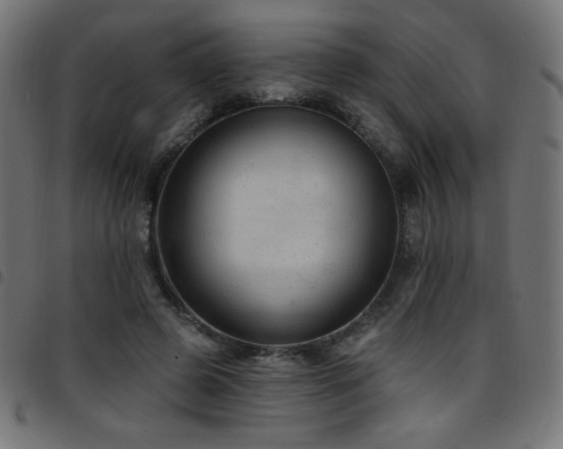 X0000097750545200803071251