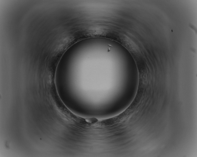 X0000097750546200803071251