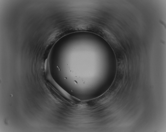 X0000097750548200803071251