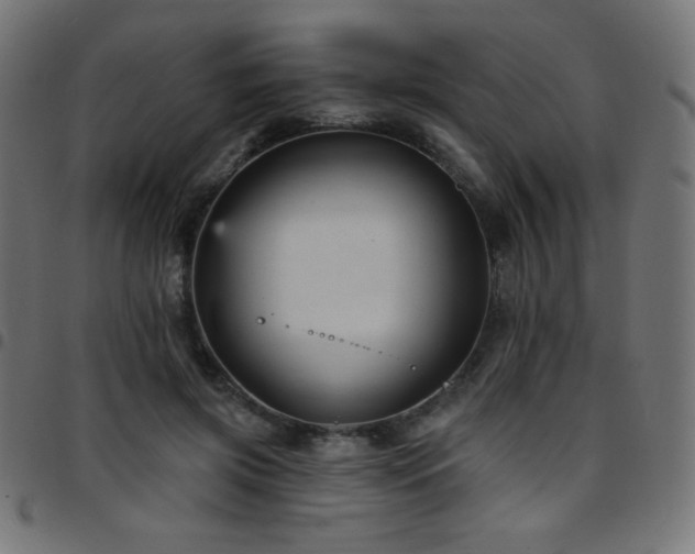 X0000097750549200803071251