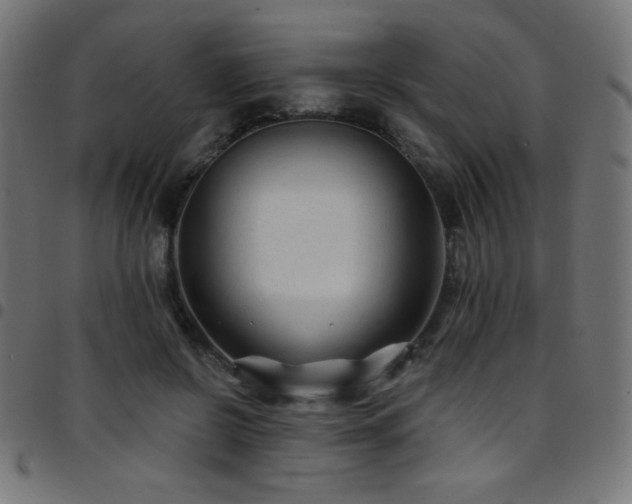 X0000097750550200803071251