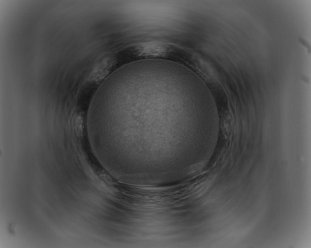 X0000097750551200803071251
