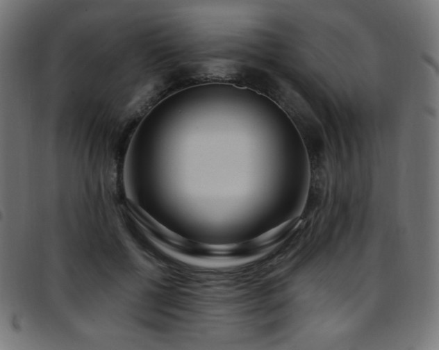 X0000097750552200803071251