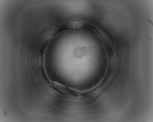 X0000097750553200803071251