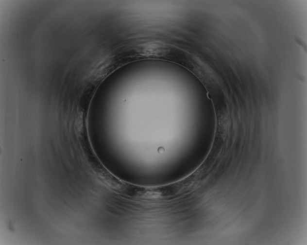 X0000097750554200803071251