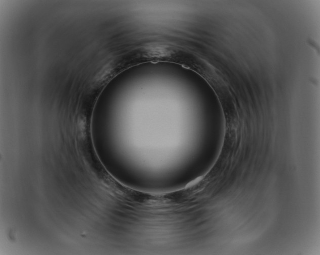 X0000097750556200803071251