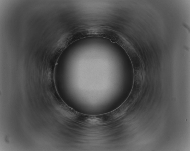X0000097750557200803071251
