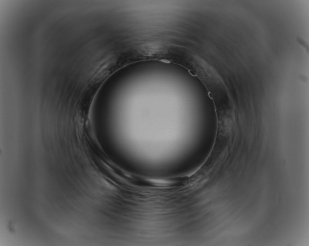 X0000097750558200803071251