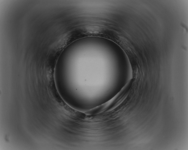 X0000097750559200803071251