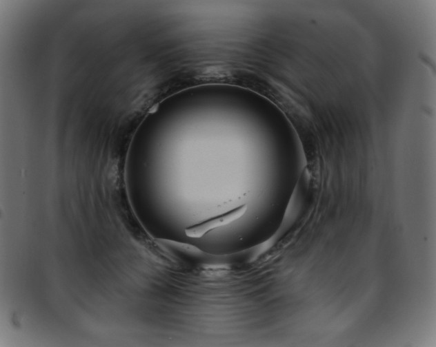 X0000097750560200803071251