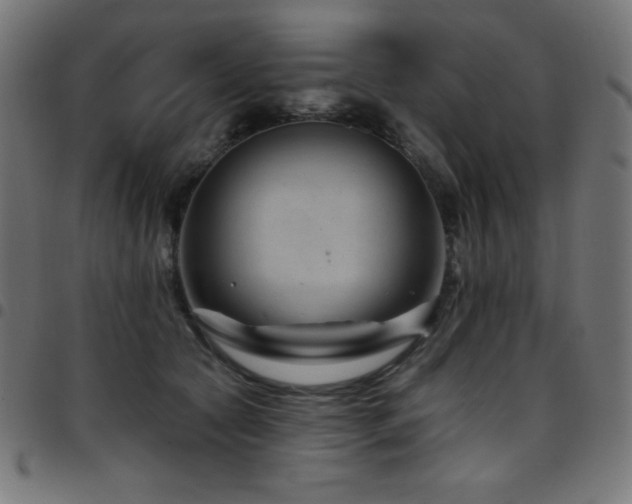 X0000097750561200803071251