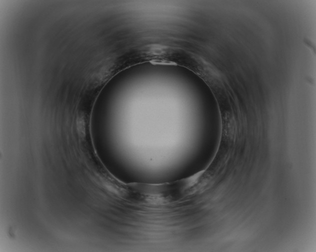 X0000097750562200803071251