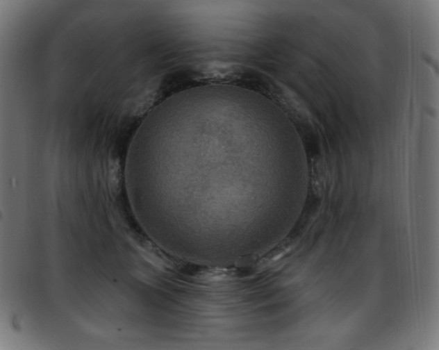 X0000097750563200803071251