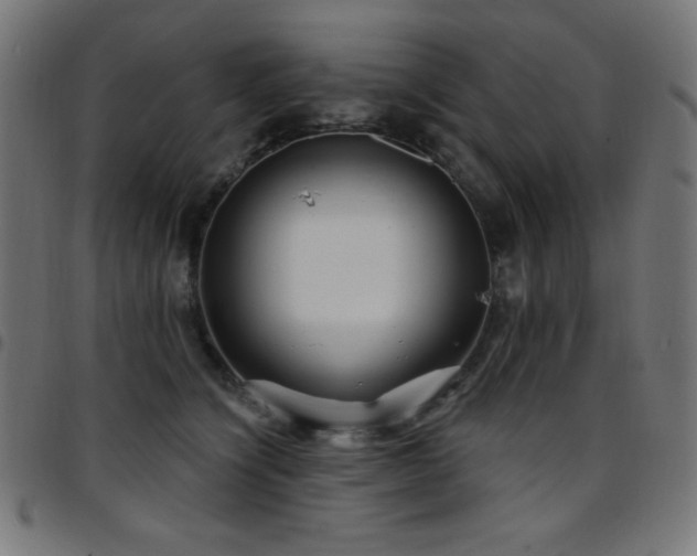 X0000097750564200803071251