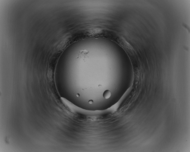 X0000097750565200803071251