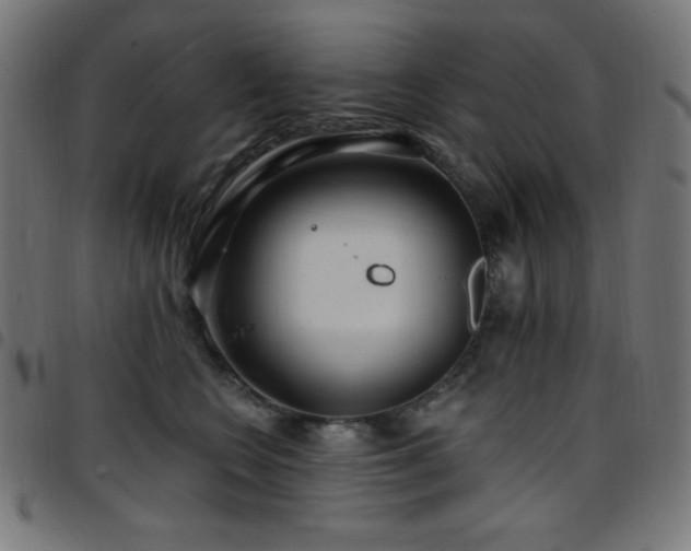 X0000097750566200803071251