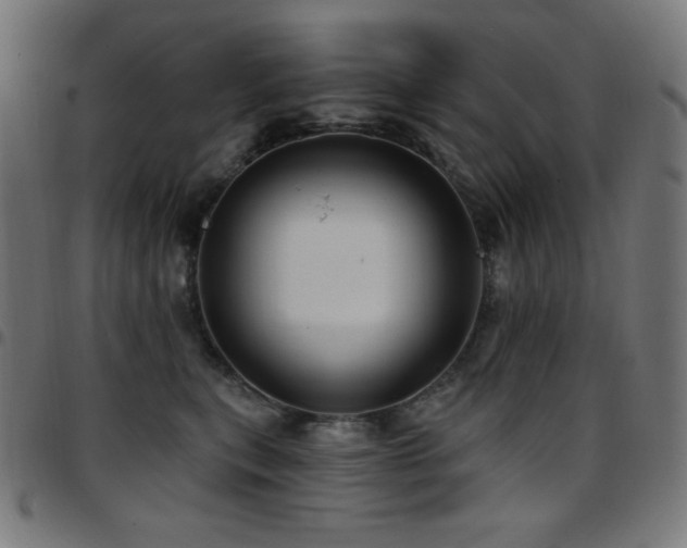X0000097750567200803071251