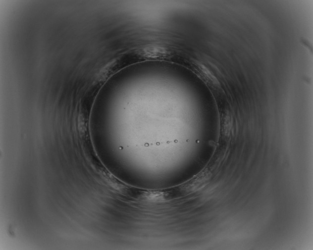 X0000097750569200803071251