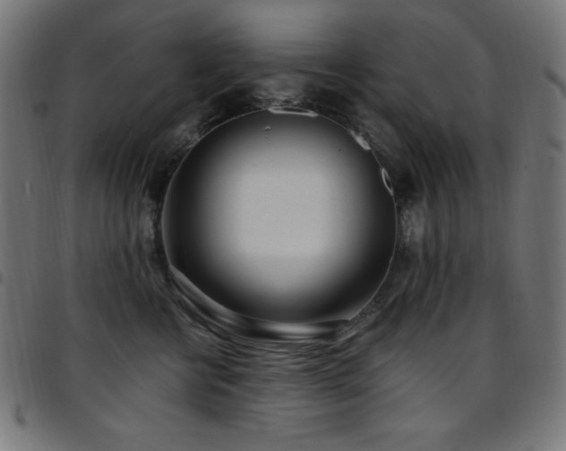 X0000097750570200803071251