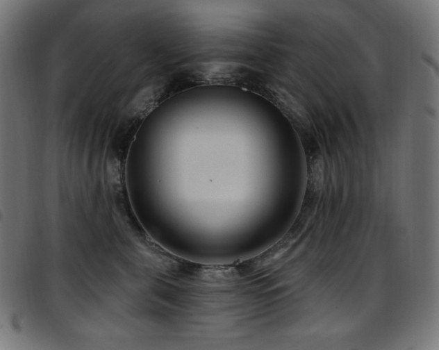 X0000097750571200803071251