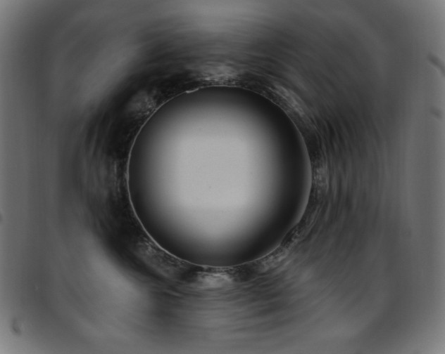 X0000097750572200803071251