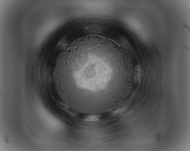 X0000097750573200803071251