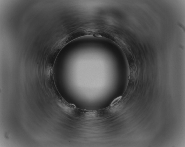 X0000097750574200803071251