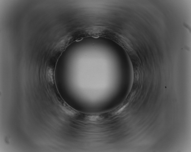 X0000097750575200803071251
