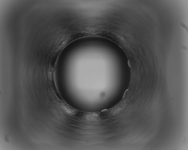 X0000097750576200803071251