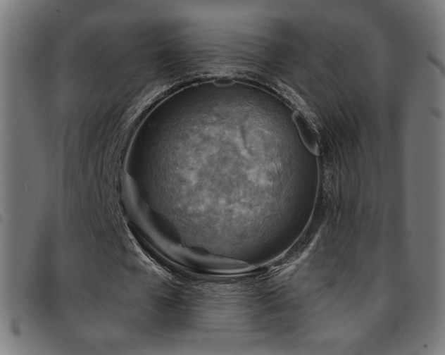 X0000097750577200803071250