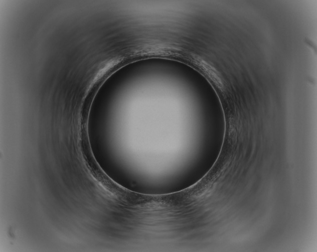 X0000097750578200803071250