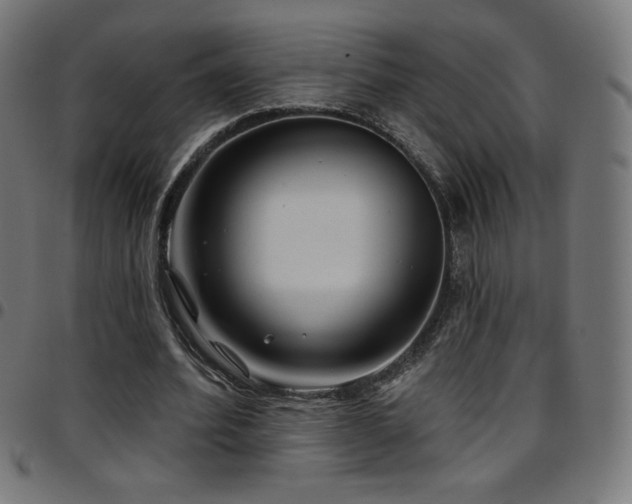 X0000097750580200803071250