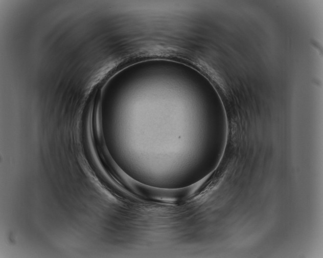 X0000097750581200803071250
