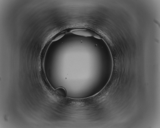 X0000097750582200803071250