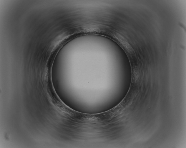 X0000097750583200803071250