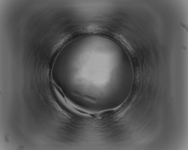 X0000097750585200803071250