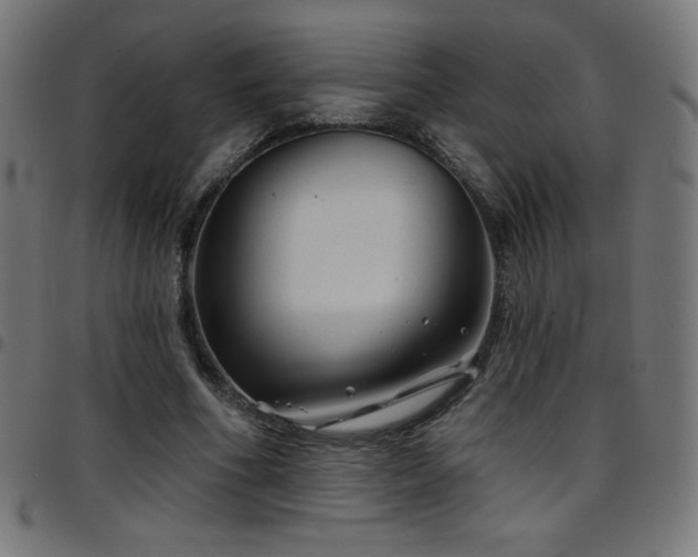 X0000097750586200803071250