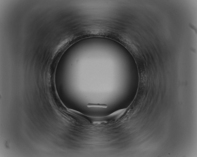 X0000097750587200803071250