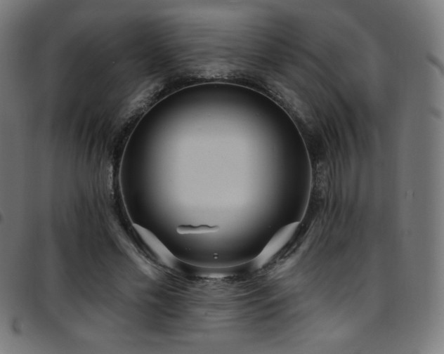 X0000097750589200803071250
