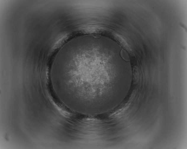 X0000097750590200803071250