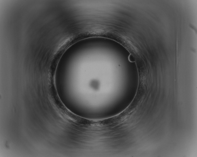 X0000097750591200803071250