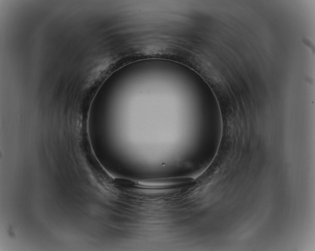 X0000097750592200803071250
