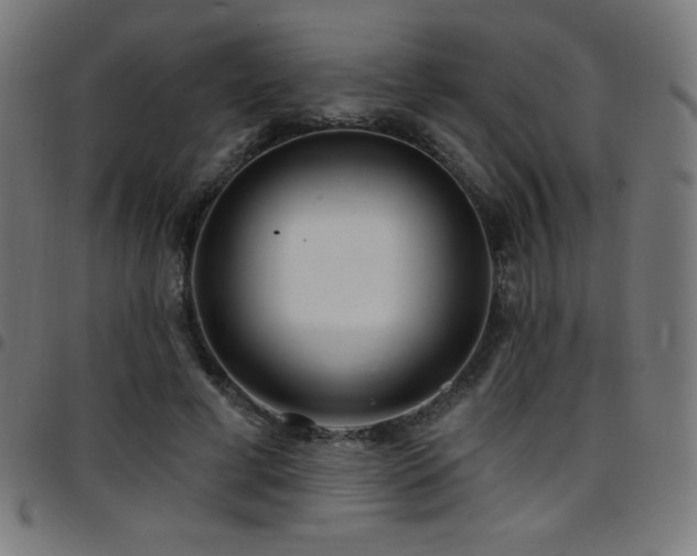 X0000097750593200803071250