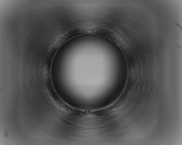 X0000097750594200803071250